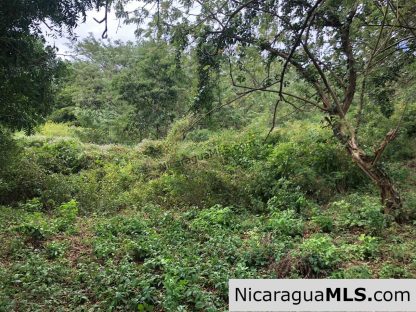 Playa Maderas Bargain 3.1 Acre Property