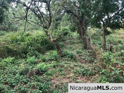 Playa Maderas Bargain 3.1 Acre Property