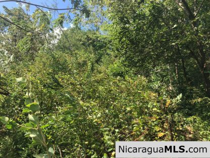Playa Maderas Bargain 3.1 Acre Property