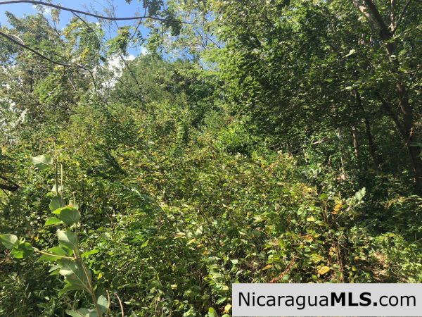Playa Maderas Bargain 3.1 Acre Property - Image 2