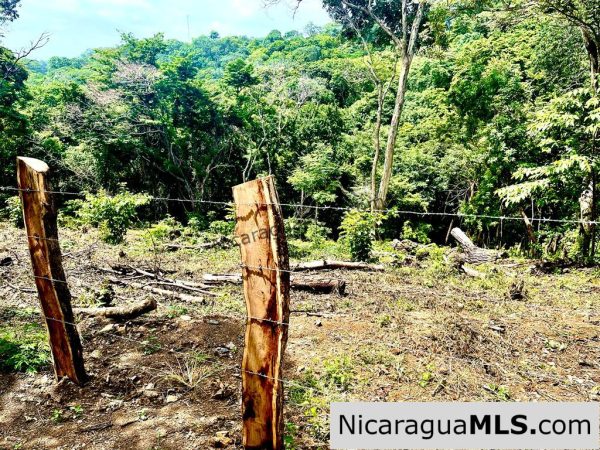 Beautiful lot within walking distance of Playa Maderas - Image 7