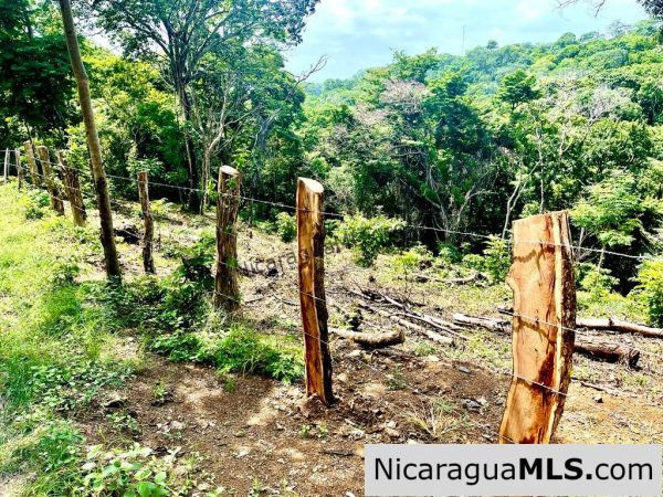 Beautiful lot within walking distance of Playa Maderas - Image 4