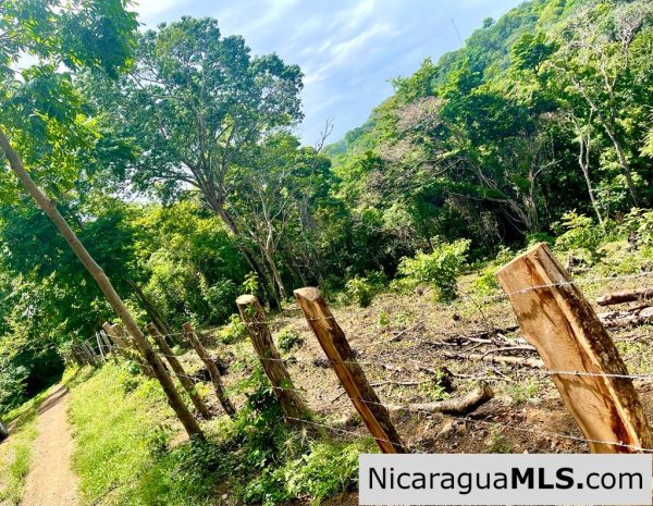Beautiful lot within walking distance of Playa Maderas - Image 14