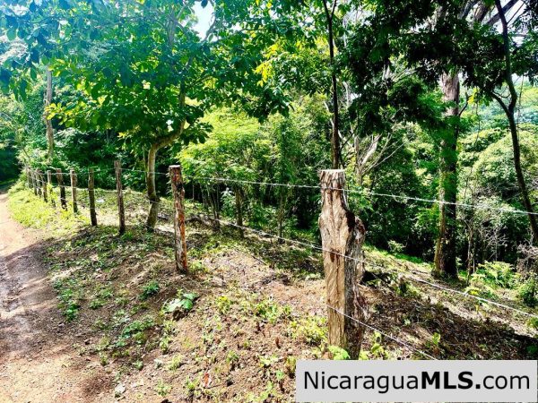 Beautiful lot within walking distance of Playa Maderas - Image 6