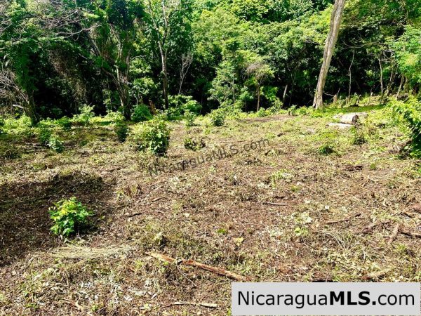 Beautiful lot within walking distance of Playa Maderas - Image 8