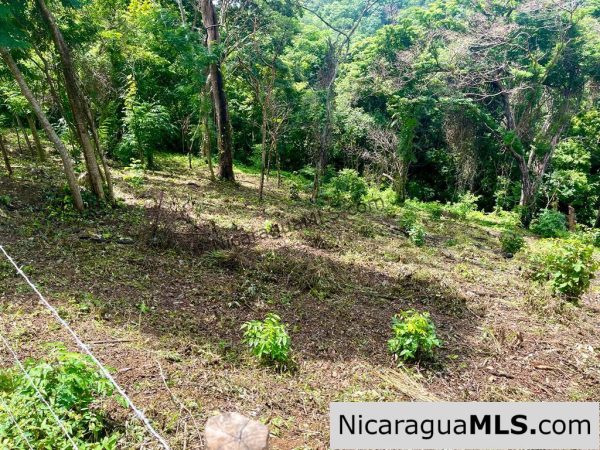 Beautiful lot within walking distance of Playa Maderas - Image 9