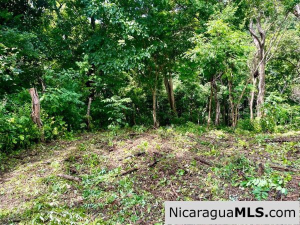 Beautiful lot within walking distance of Playa Maderas - Image 12