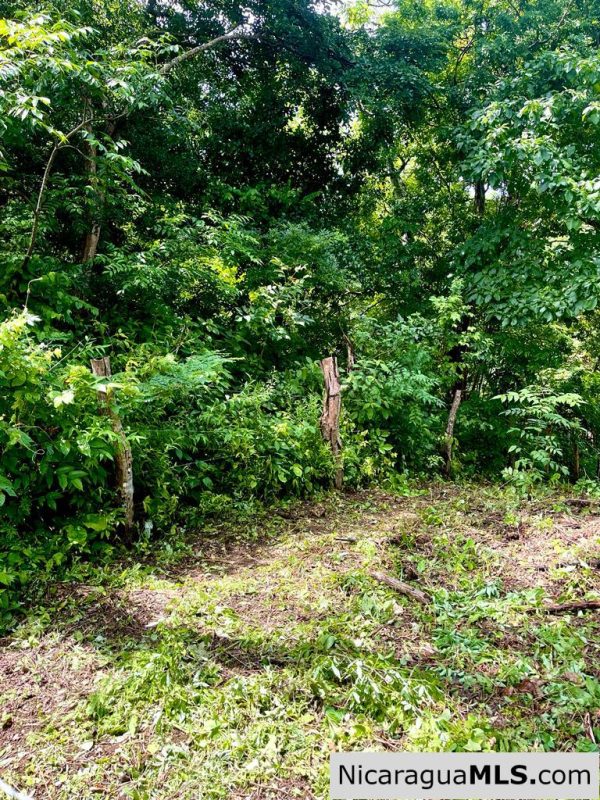 Beautiful lot within walking distance of Playa Maderas - Image 13