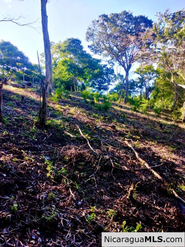 Beautiful lot within walking distance of Playa Maderas - Image 20
