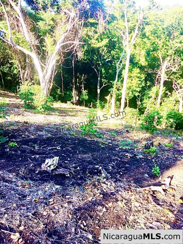 Beautiful lot within walking distance of Playa Maderas - Image 18
