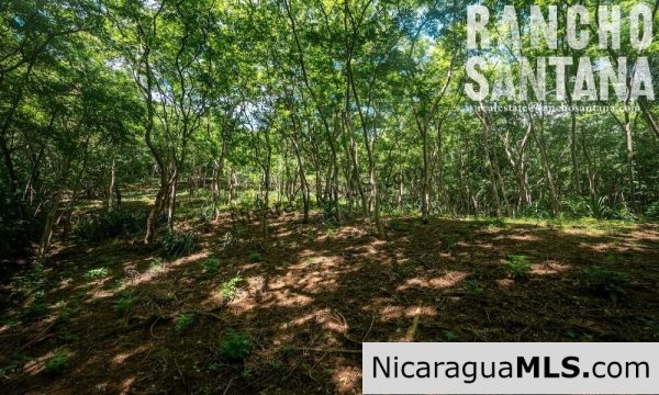 Lots in Los Perros neighborhood of Rancho Santana - Image 4