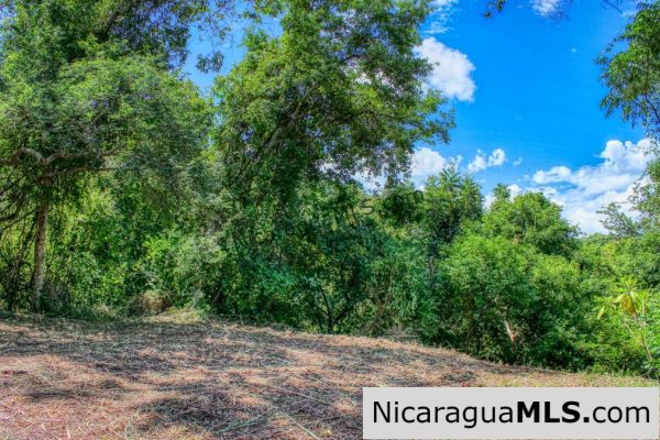Pacific Marlin Double Lot Lowest Price and co list with Snyder Realty - Image 11