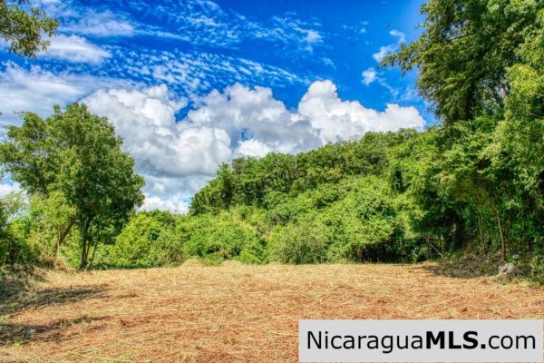 Pacific Marlin Double Lot Lowest Price and co list with Snyder Realty - Image 2