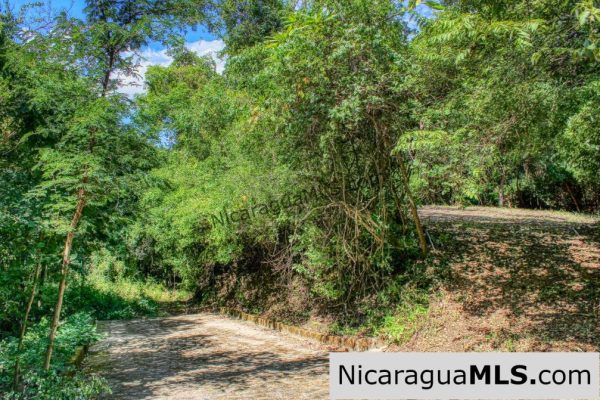 Pacific Marlin Double Lot Lowest Price and co list with Snyder Realty - Image 8
