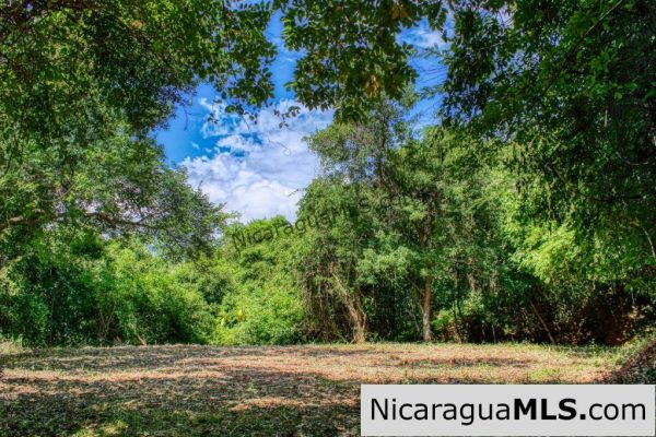 Pacific Marlin Double Lot Lowest Price and co list with Snyder Realty - Image 9