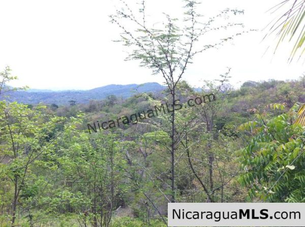 Rancho Papayal Lot 38 - Image 4