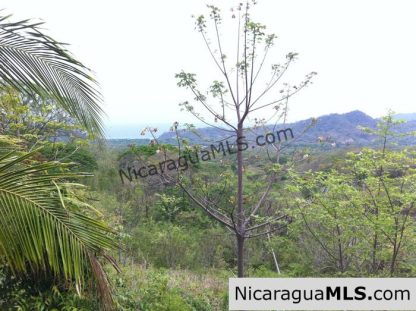 Rancho Papayal Lot 38