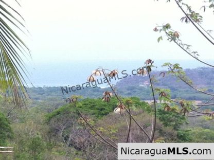 Rancho Papayal Lot 38