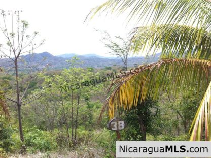 Rancho Papayal Lot 38