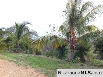 Rancho Papayal Lot 38