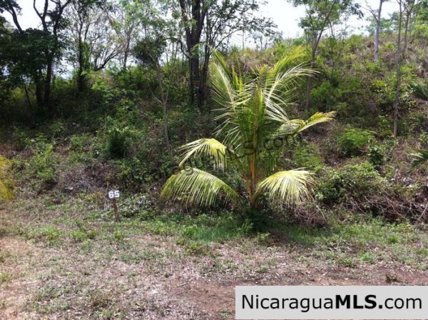 Rancho Papayal 65 - Image 2