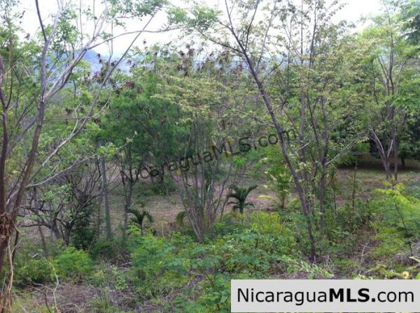 Rancho Papayal 65 - Image 3
