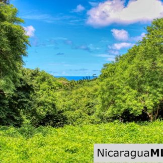 Rancho Papayal 1.2 acres Peaceful Ocean and Forest Views