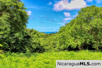 Rancho Papayal Lot 74 Beautiful Ocean and Forest Views