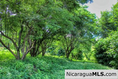 Rancho Papayal Lot 74 Beautiful Ocean and Forest Views