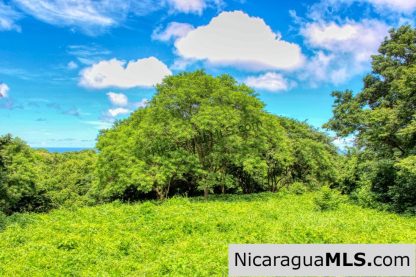 Rancho Papayal Lot 74 Beautiful Ocean and Forest Views