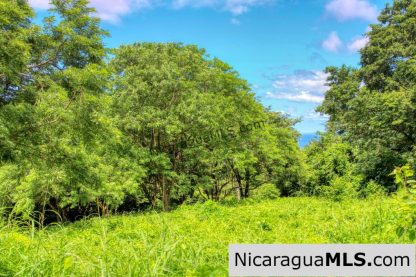 Rancho Papayal Lot 74 Beautiful Ocean and Forest Views