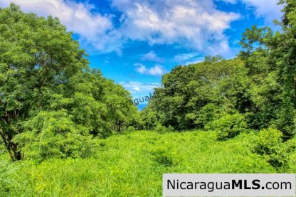 Rancho Papayal Lot 74 Beautiful Ocean and Forest Views