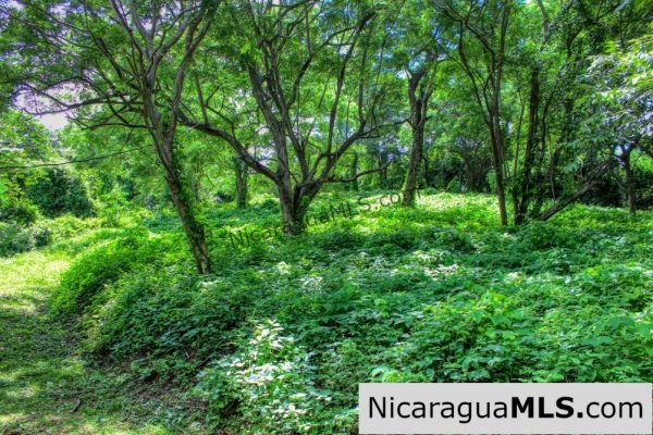 Nestled in the trees minutes to beaches Rancho Papayal Lot 79 - Image 2