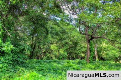 Nestled in the trees minutes to beaches Rancho Papayal Lot 79