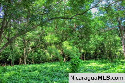 Nestled in the trees minutes to beaches Rancho Papayal Lot 79
