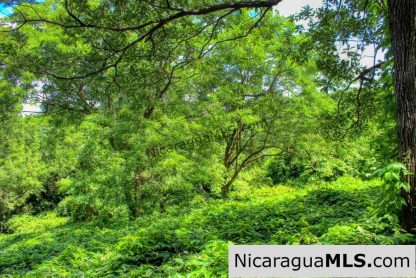 Nestled in the trees minutes to beaches Rancho Papayal Lot 79