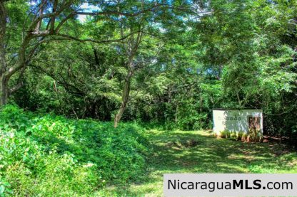 Nestled in the trees minutes to beaches Rancho Papayal Lot 79