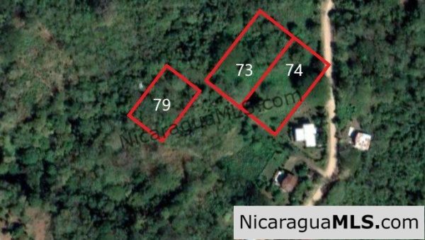 Nestled in the trees minutes to beaches Rancho Papayal Lot 79 - Image 9