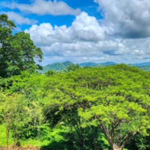 REDUCED! - Rancho Papayal Lot 37