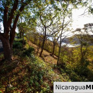 Paradise Bay Dual Lots for Sale