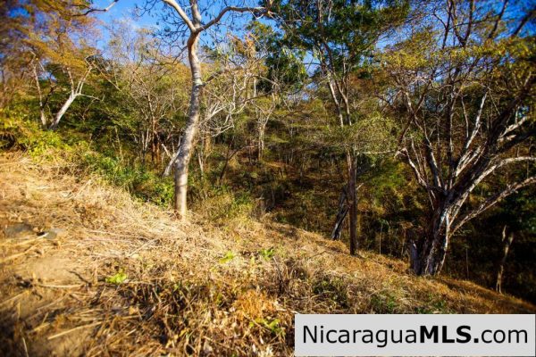 Paradise Bay Dual Lots for Sale - Image 3