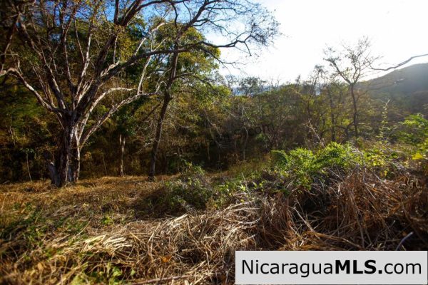 Paradise Bay Dual Lots for Sale - Image 8