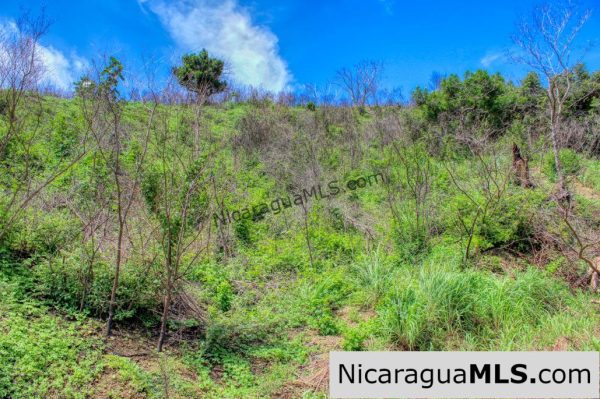 Paradise Bay Panoramic Ocean Views Lot 11 - Image 7