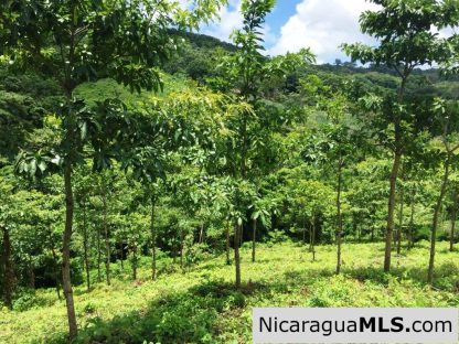 Off Grid Tranquil Paradise Only 20 Minutes North of San Juan del Sur