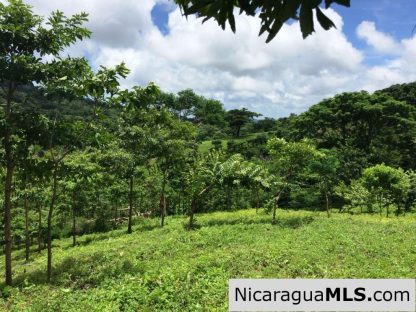Off Grid Tranquil Paradise Only 20 Minutes North of San Juan del Sur