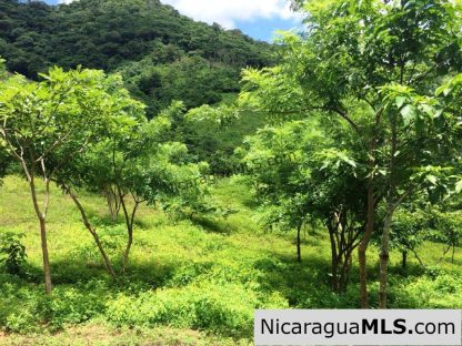 Off Grid Tranquil Paradise Only 20 Minutes North of San Juan del Sur