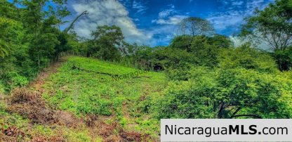 Remanso Hills View Properties