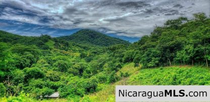 Remanso Hills View Properties