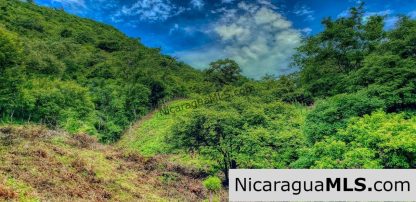 Remanso Hills View Properties