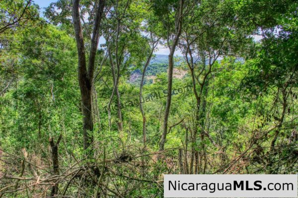 Remanso Hills Forested Views - Image 10